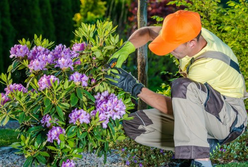 Logo banner for Gardening Services Leyton