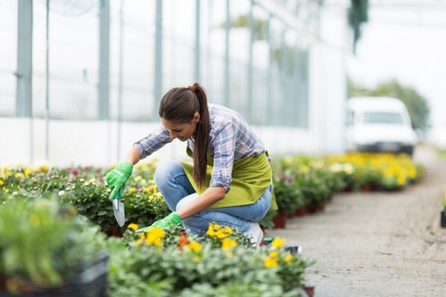 A woman wearing a plaid shirt, green apron, and gardening gloves is kneeling on a paved pathway in a greenhouse or garden centre, carefully tending to an array of vibrant yellow and purple flowering plants arranged in flower beds alongside green foliage. Behind her, the background features a modern glass structure with metal framing, allowing natural light to illuminate the outdoor space. To the right, a white vehicle is partially visible, indicating nearby activity or a commercial setting in Leyton. The scene highlights a well-maintained garden area with healthy, lush plants set against smooth, paved walkways, suitable for professional gardening or landscaping services offered by Gardening Services Leyton. The environment appears bright and clear, suggesting a mild weather day, emphasizing the natural beauty and order of this cultivated outdoor environment, which is typical of residential or commercial garden enhancements in Leyton or similar local areas.