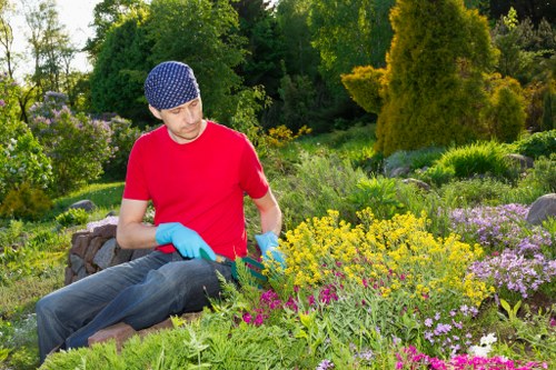 Garden tools and trimmed hedges in a Leyton courtyard