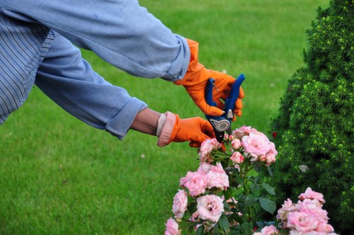 Inspection of a garden area showing turf and borders after service